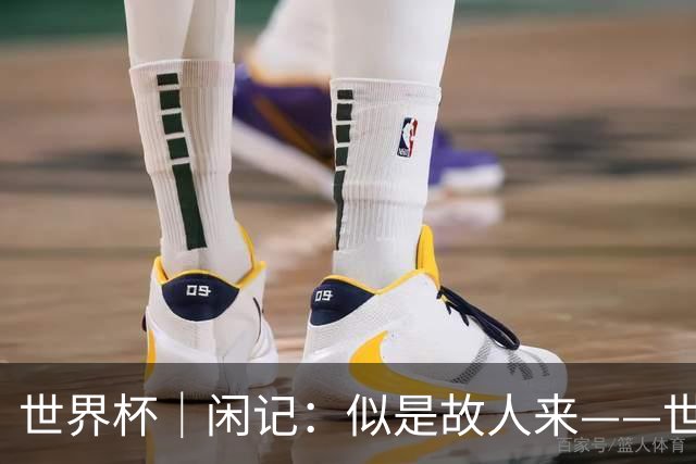 世界杯｜闲记：似是故人来——世界杯上的中超“老熟人”